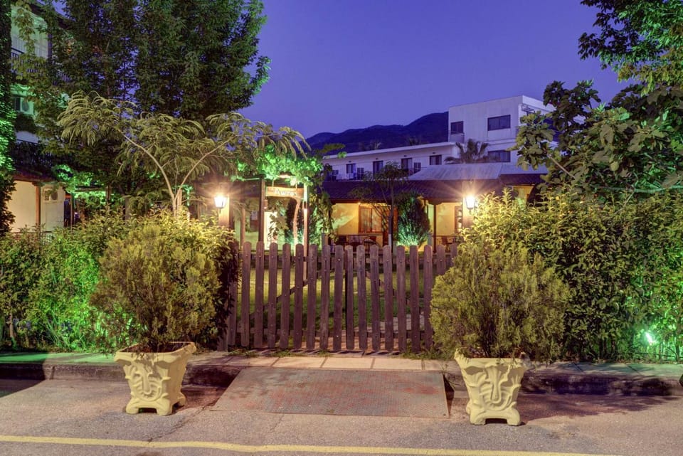 Night, Garden, Garden view