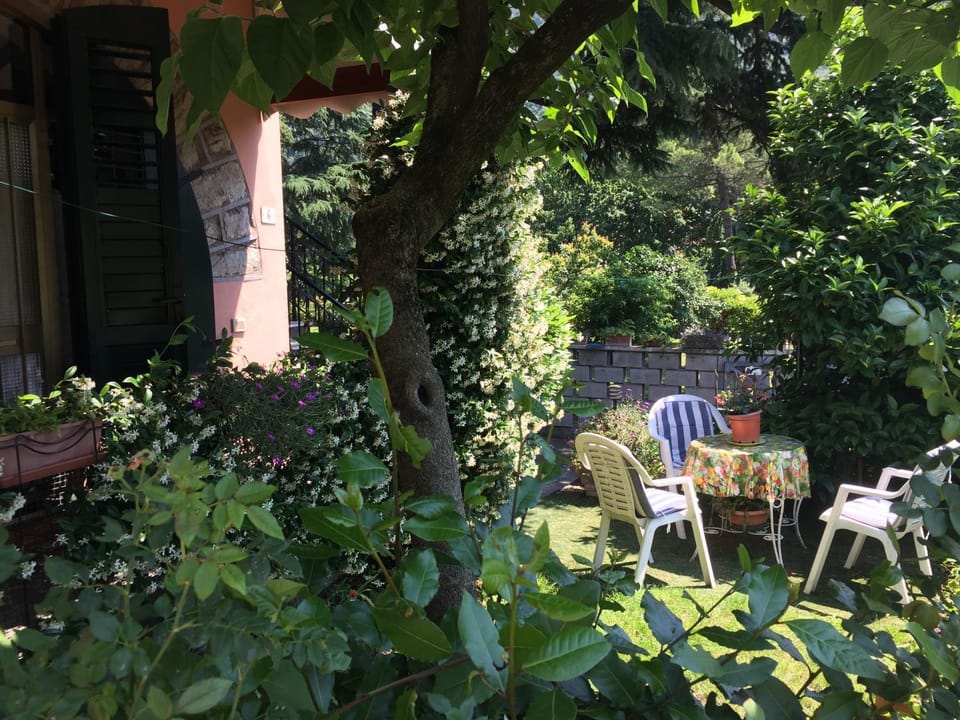Property building, Spring, Garden view