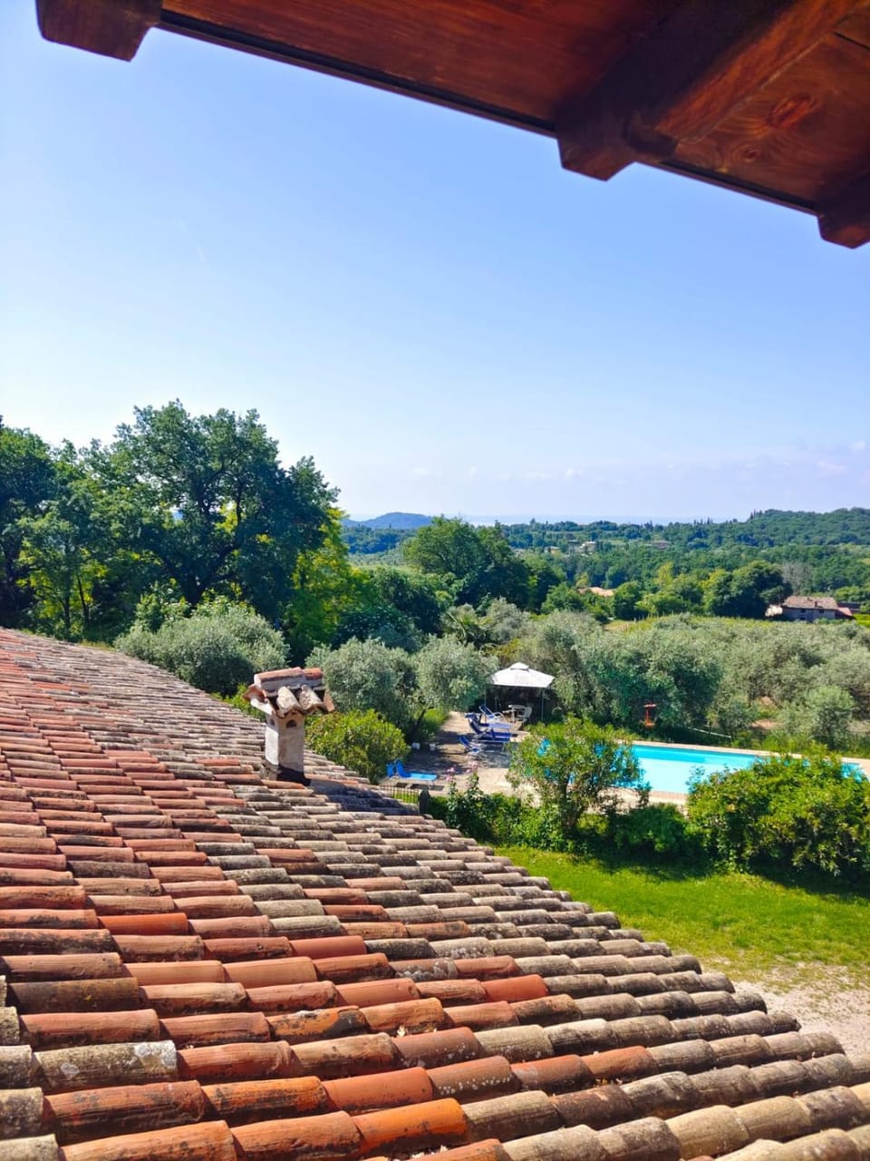 Natural landscape, Pool view, Swimming pool