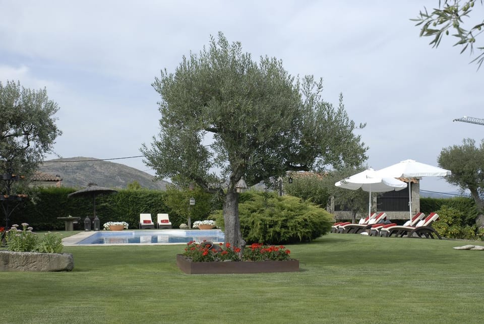 Garden, Swimming pool