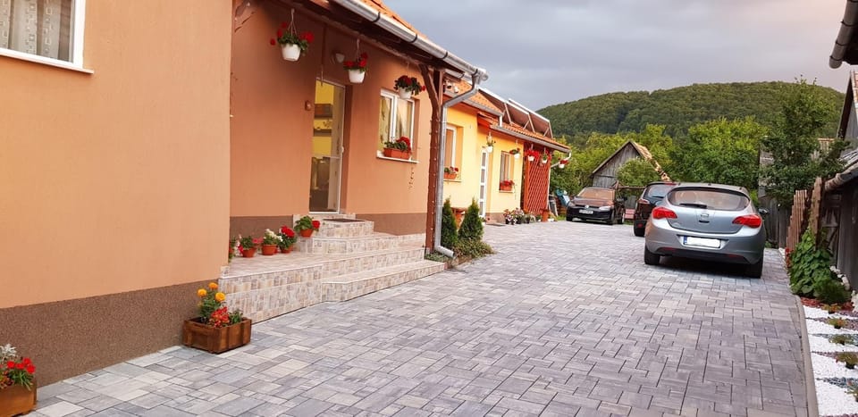 Felszegi Vendégház Bed and Breakfast in Romania
