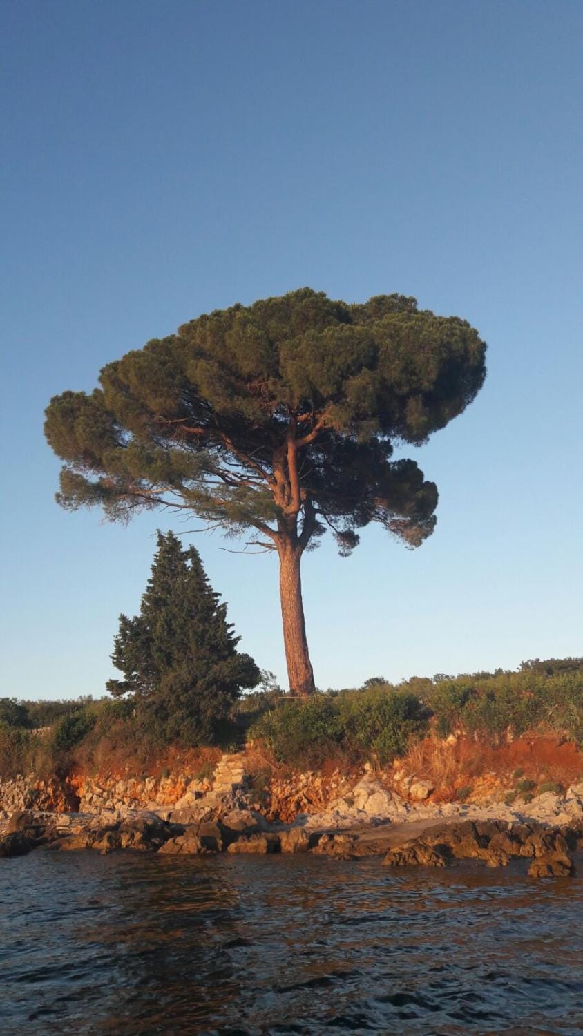 Natural landscape