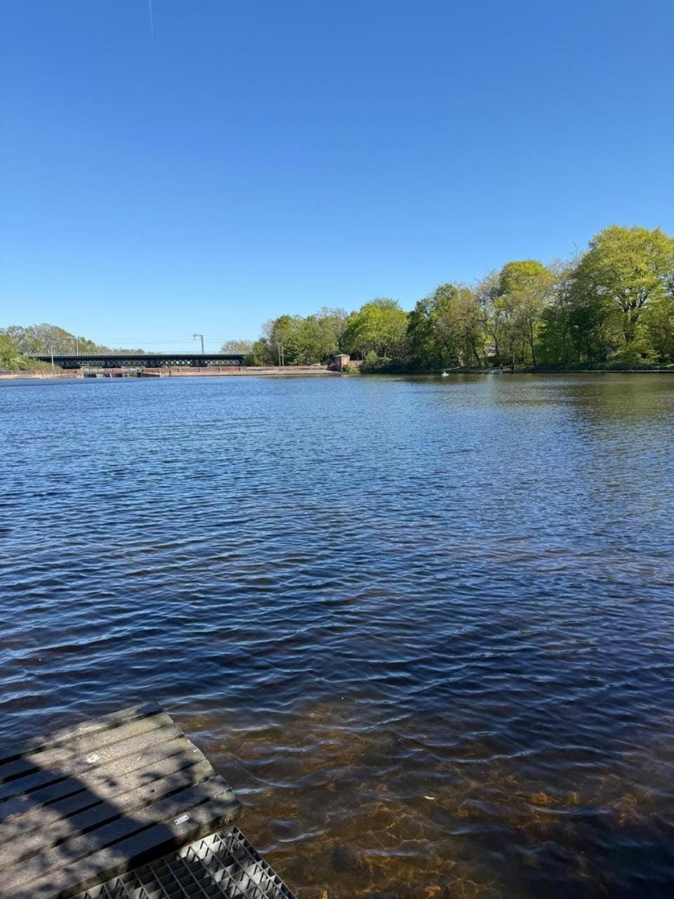 Lake view
