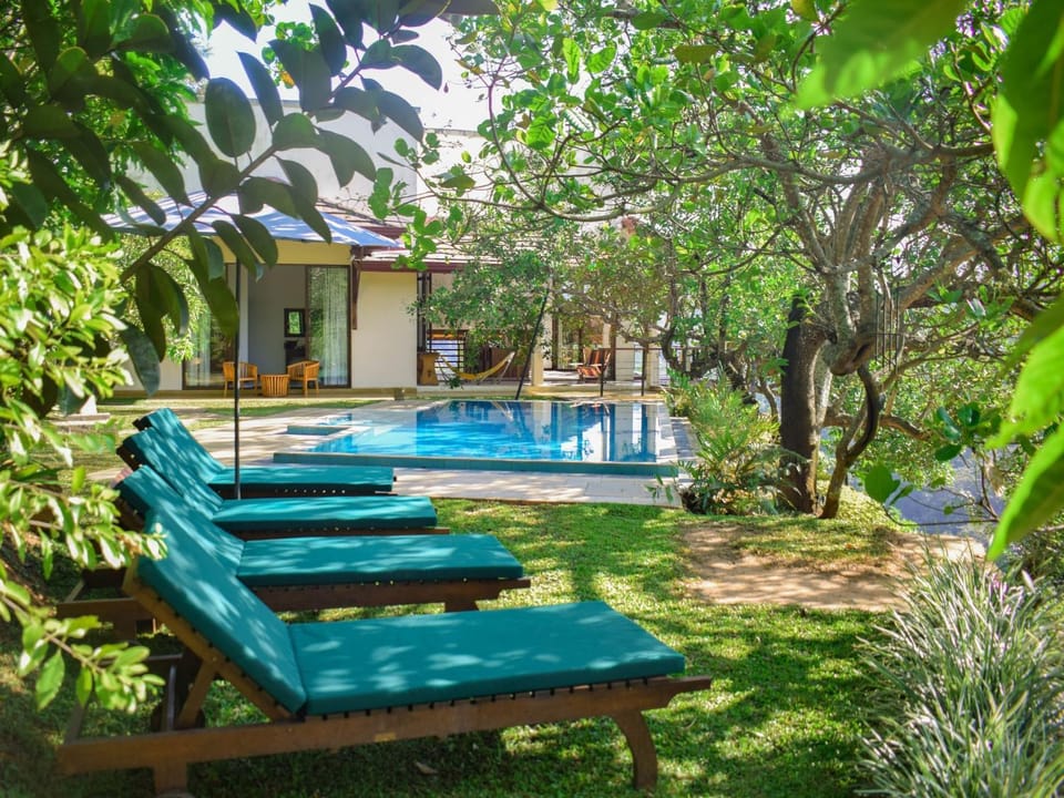Garden, Pool view, Swimming pool, sunbed