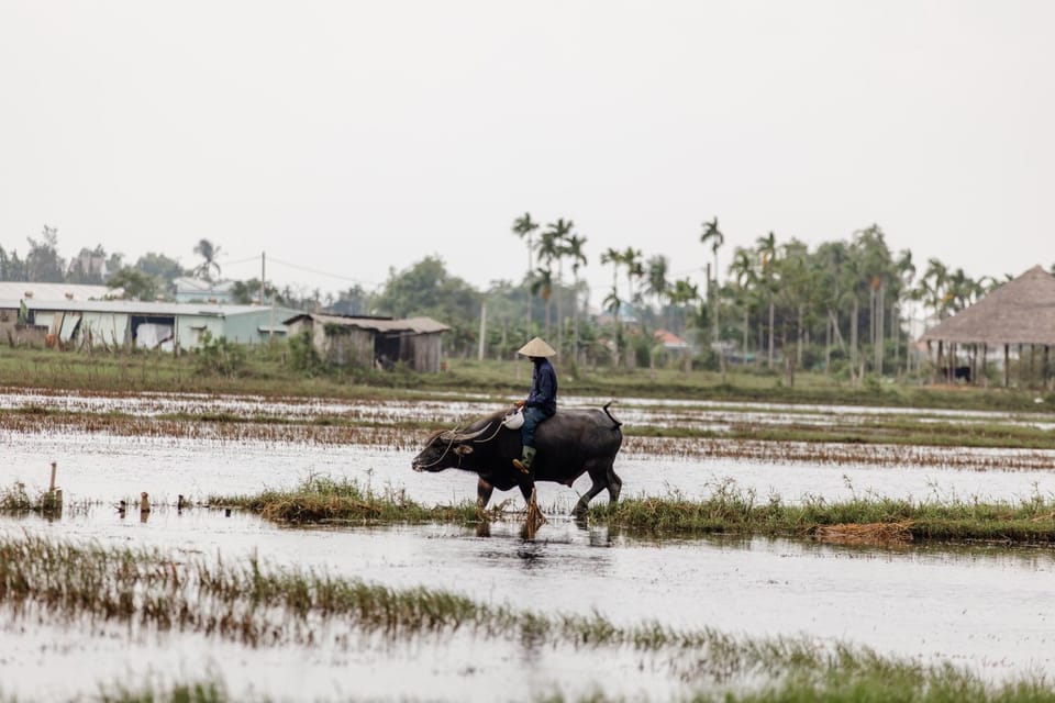 Natural landscape, Activities, Horse-riding, Pets