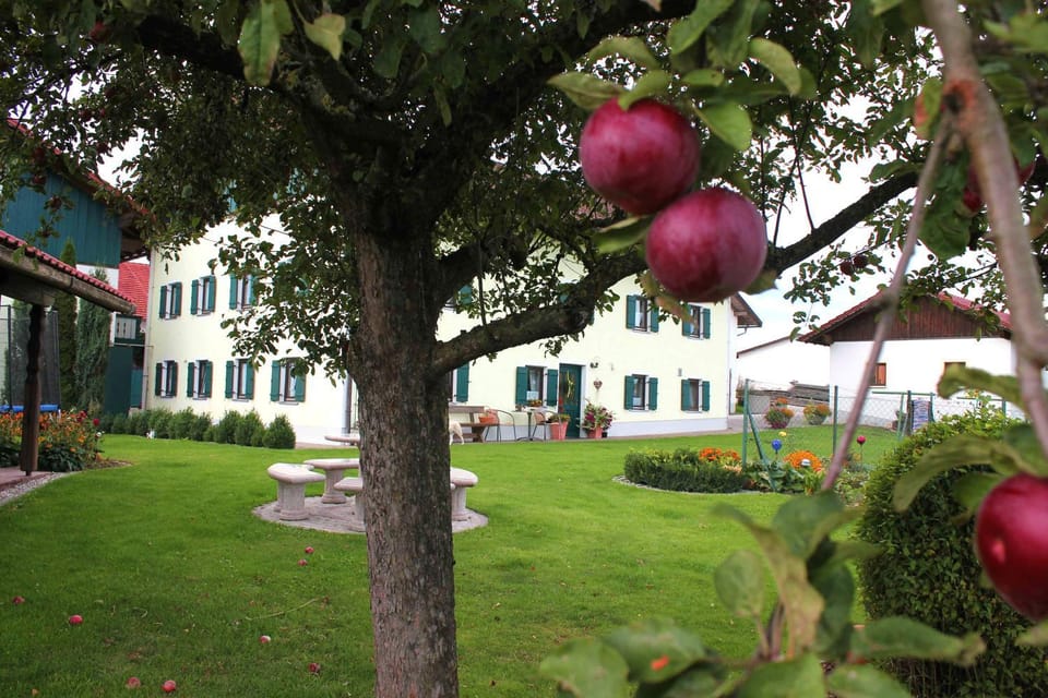 Facade/entrance, Natural landscape, Garden, Garden view