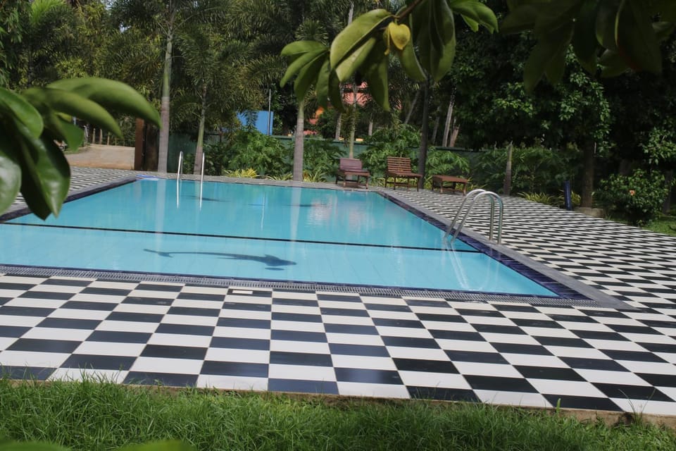 Pool view