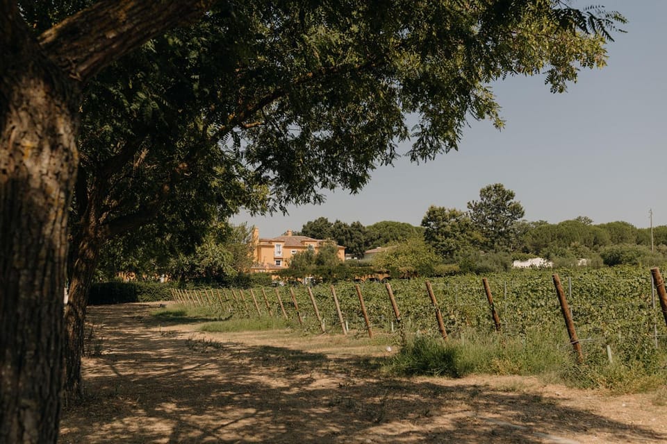 Quinta De Catralvos Bed and Breakfast in Setúbal, Portugal