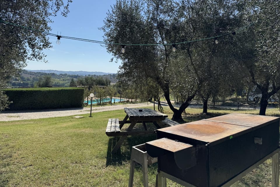 Natural landscape, BBQ facilities, Garden, Garden view