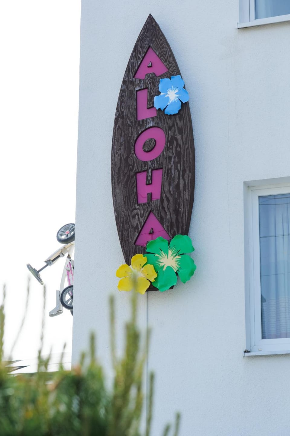 Willa ALOHA Vacation rental in Pomeranian Voivodeship