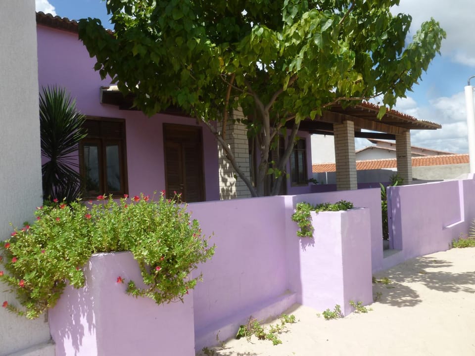 Patio, Facade/entrance
