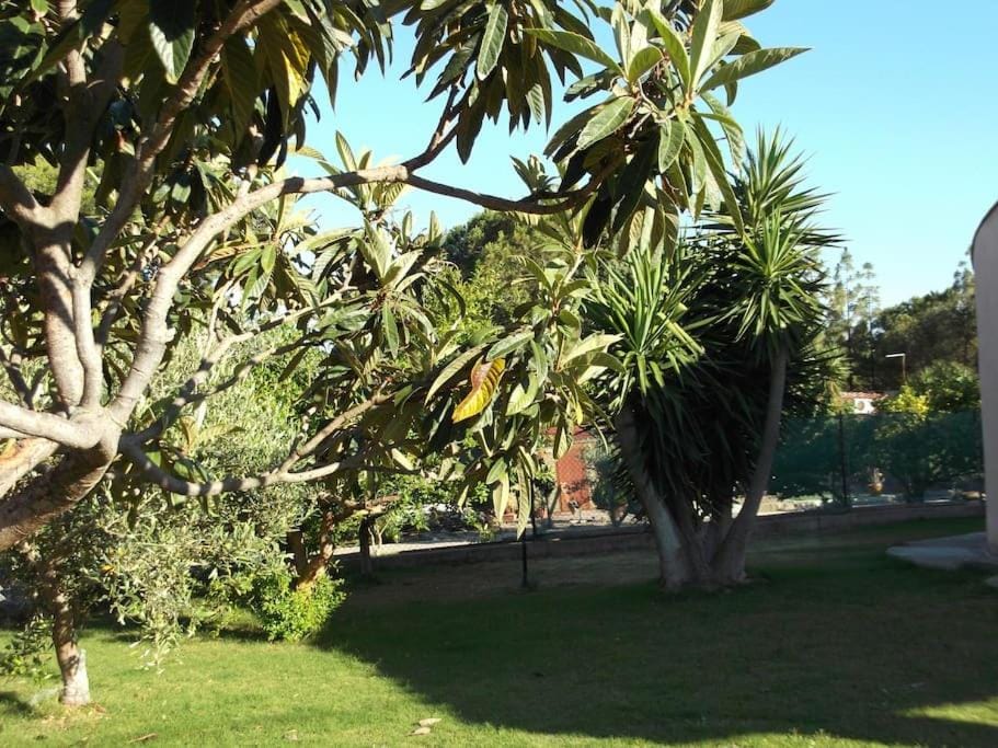 Villa Gabriella House in Sardinia
