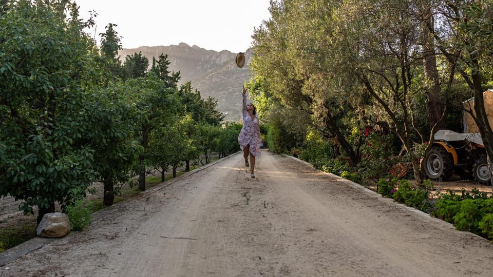 People, Garden, Garden view, Mountain view, Quiet street view