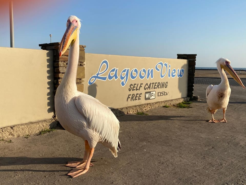 Lagoon View Self Catering Apartment in Namibia