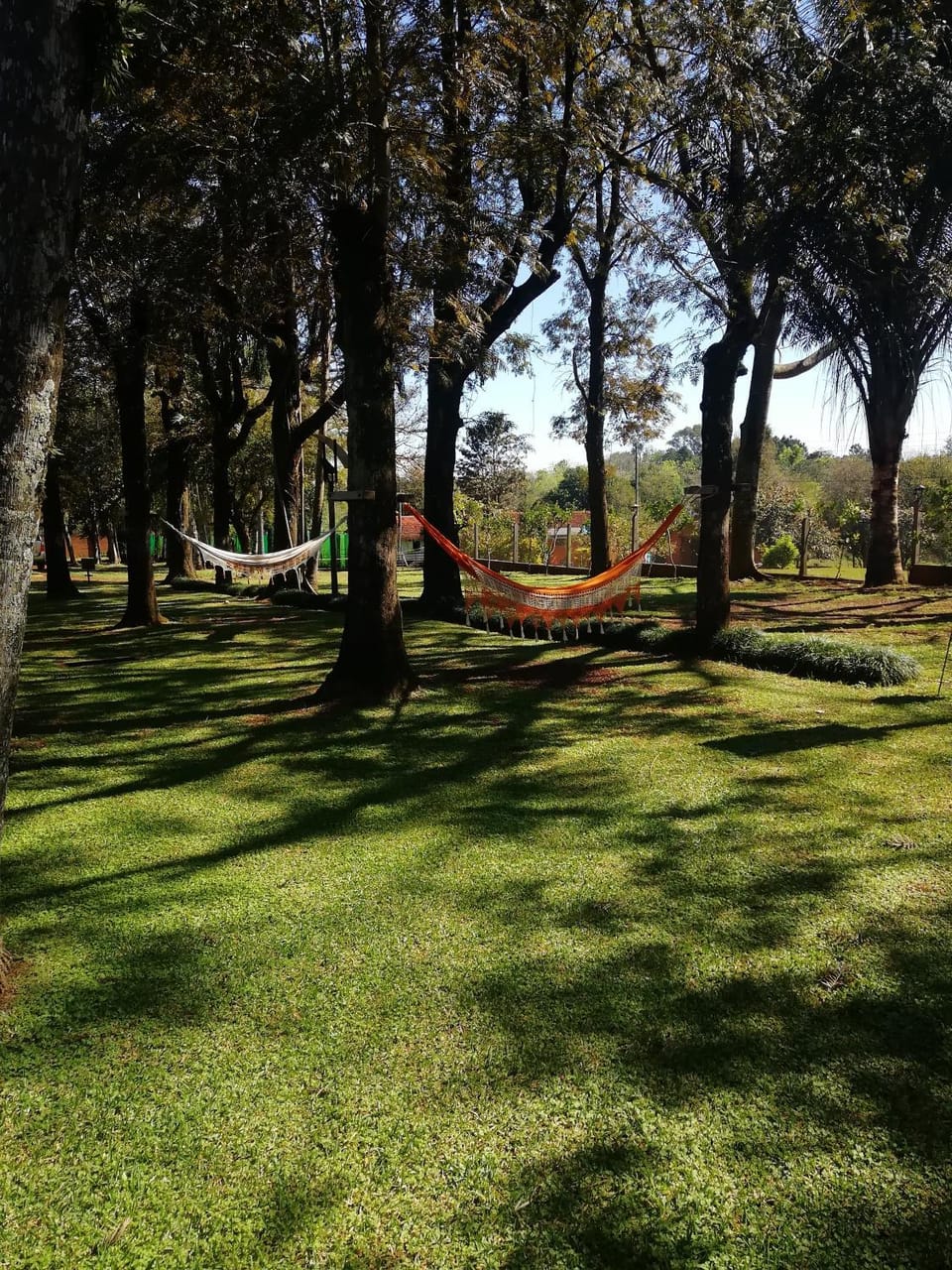 Patio, Garden