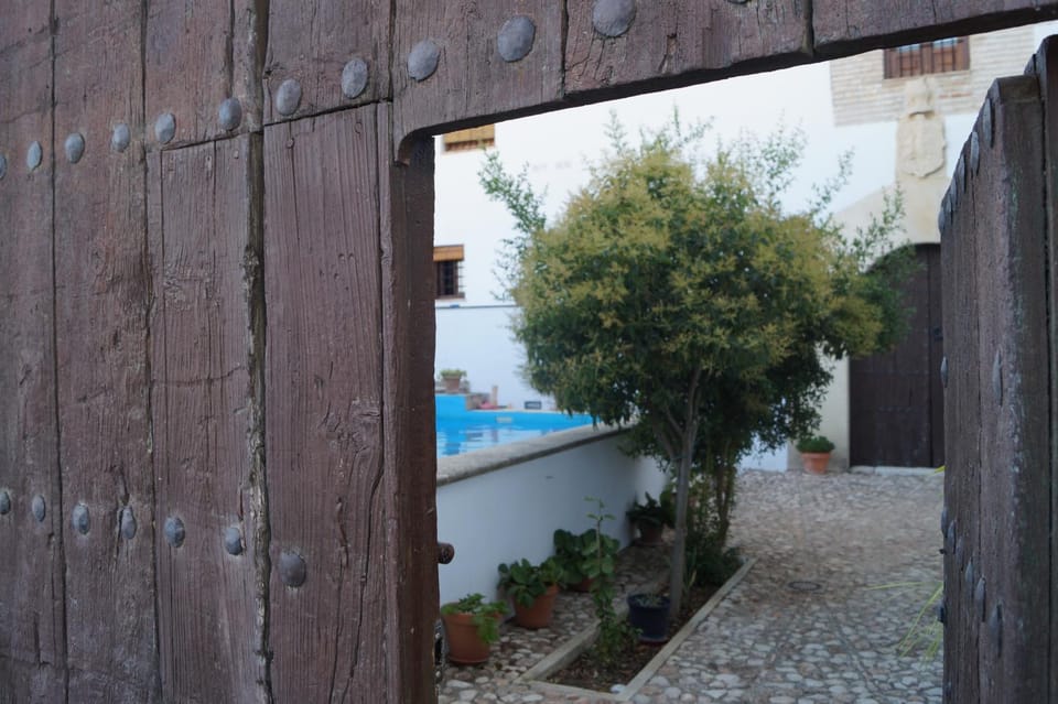 Patio, Swimming pool