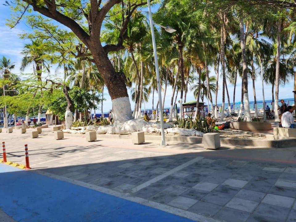 Beach