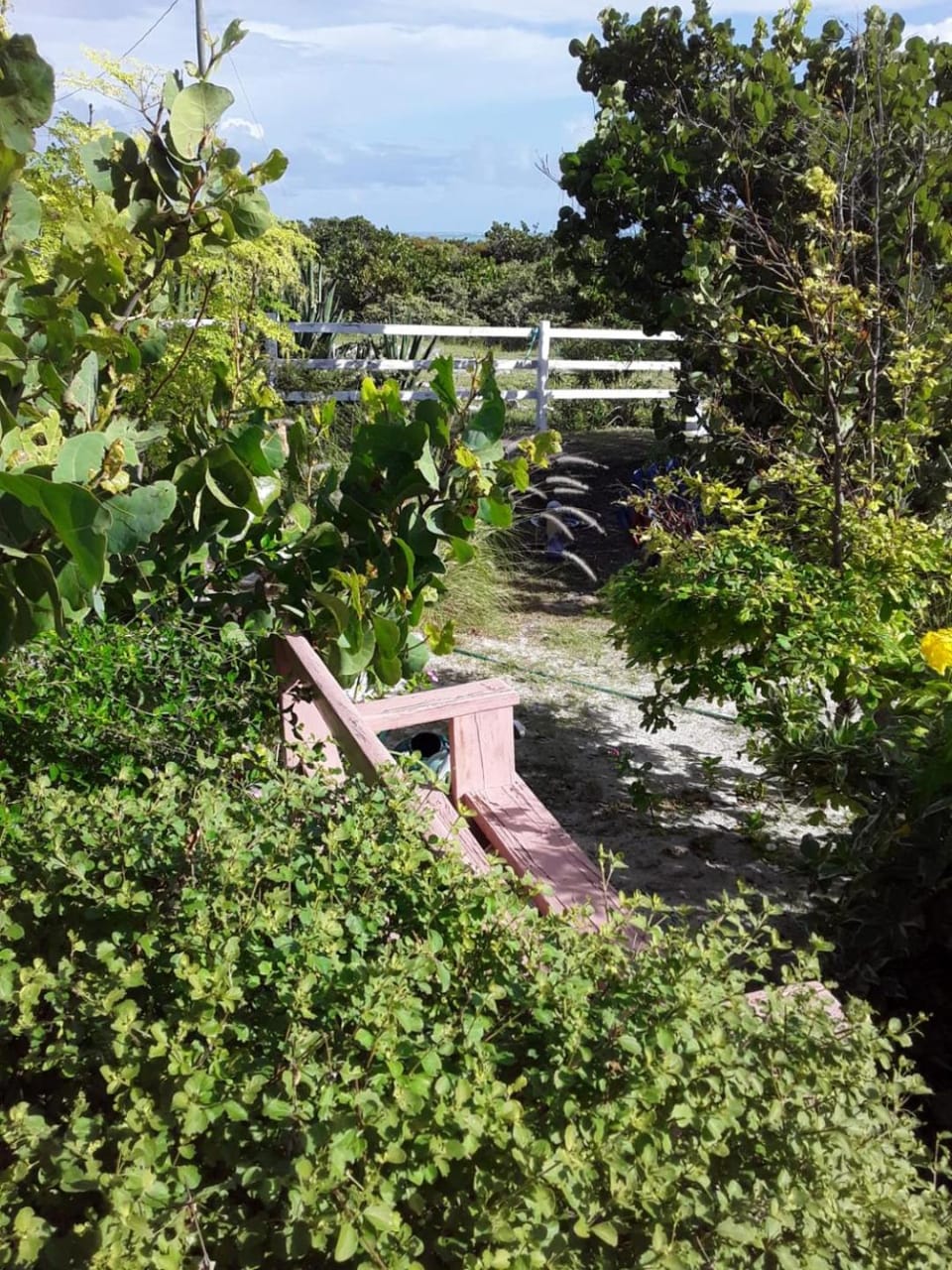 La Grande Pettite Villa Villa in Turks and Caicos Islands