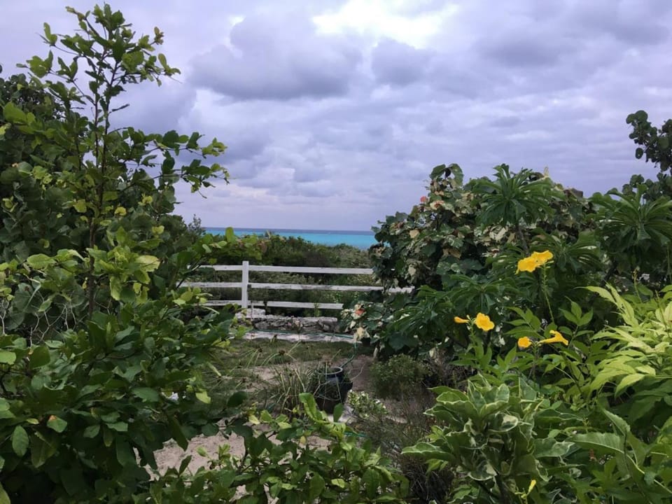 La Grande Pettite Villa Villa in Turks and Caicos Islands
