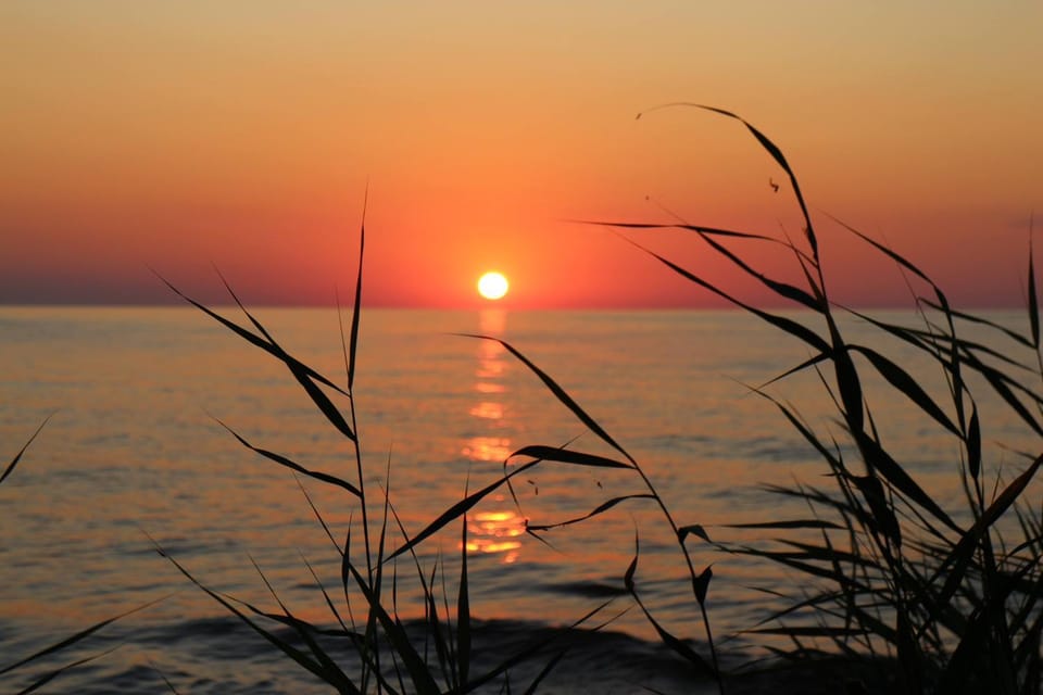 Järve Holiday Village Bed and Breakfast in Estonia