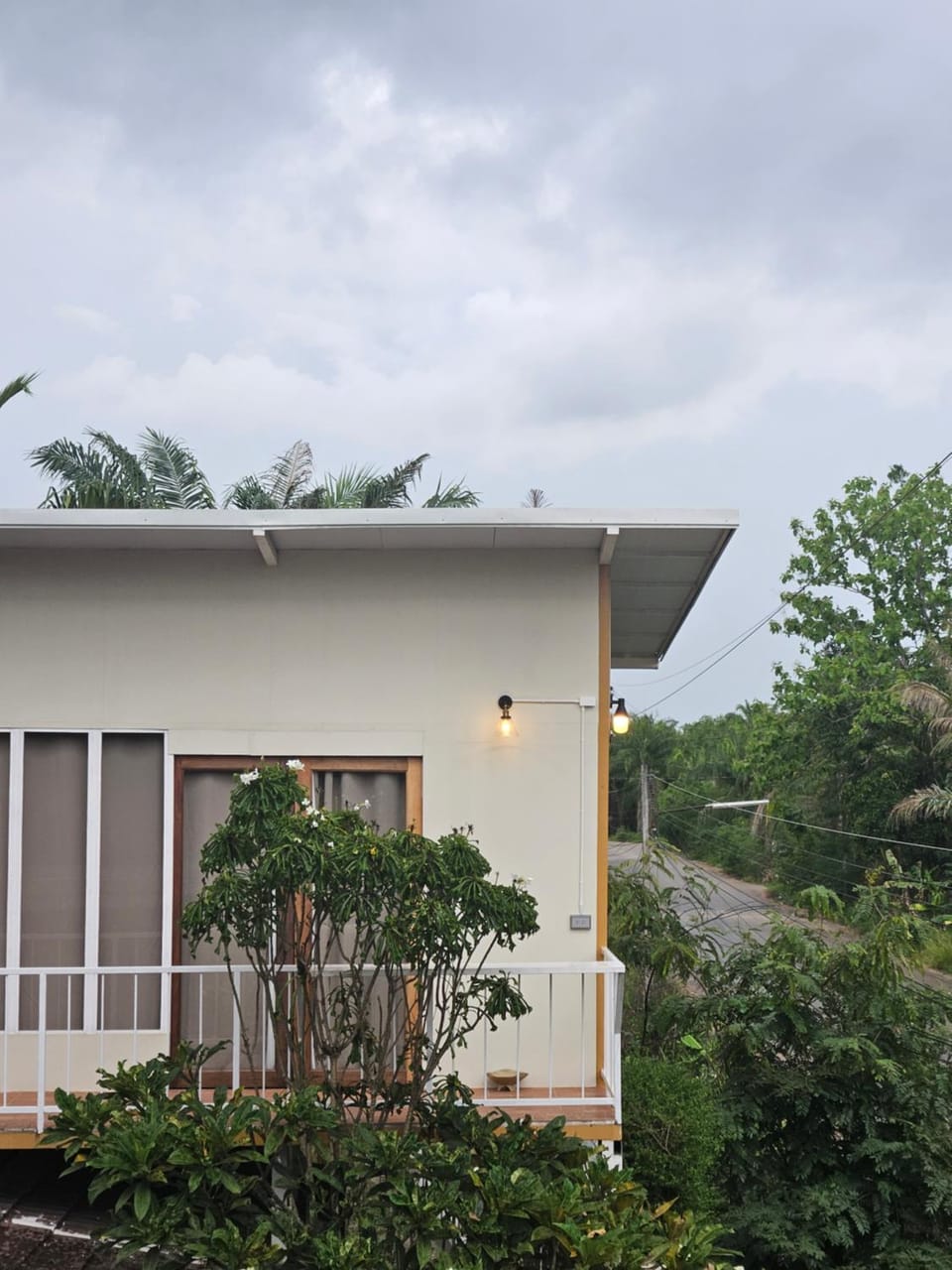 Property building, Day