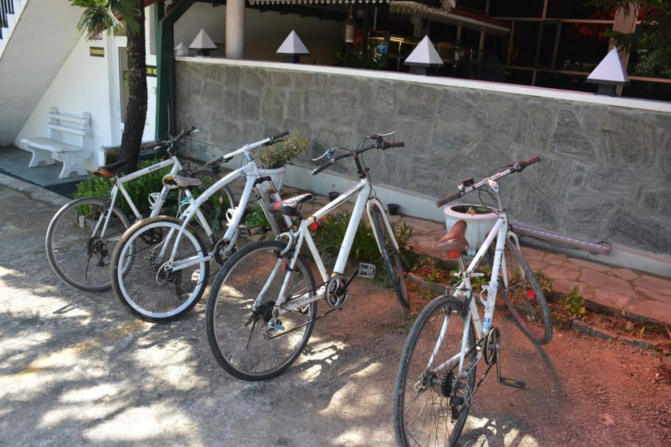 Cycling