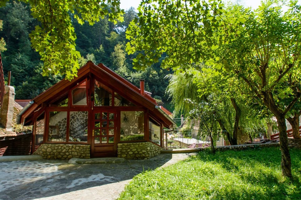 Rem's Pension Bed and Breakfast in Brașov County