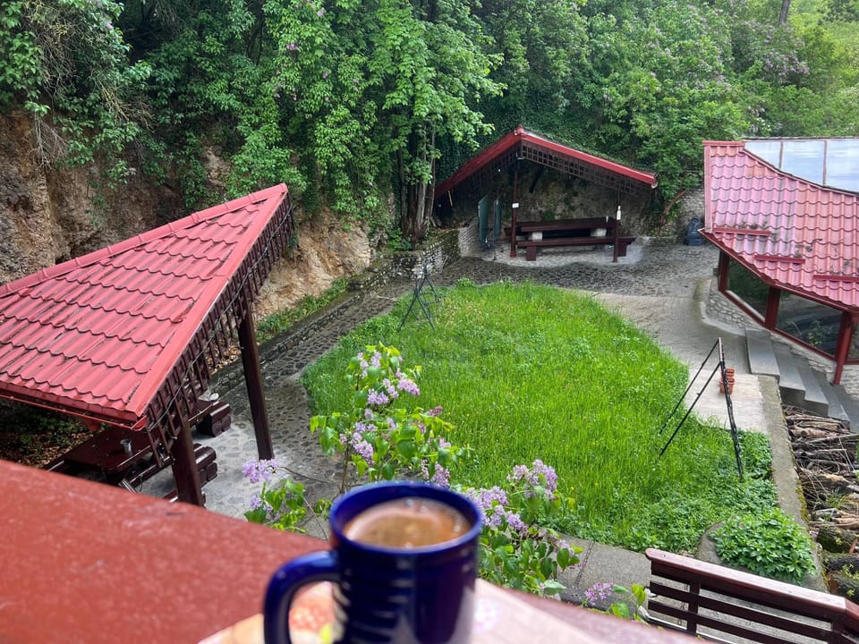 Rem's Pension Bed and Breakfast in Brașov County