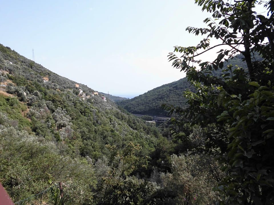 Garden, Balcony/Terrace, Sea view