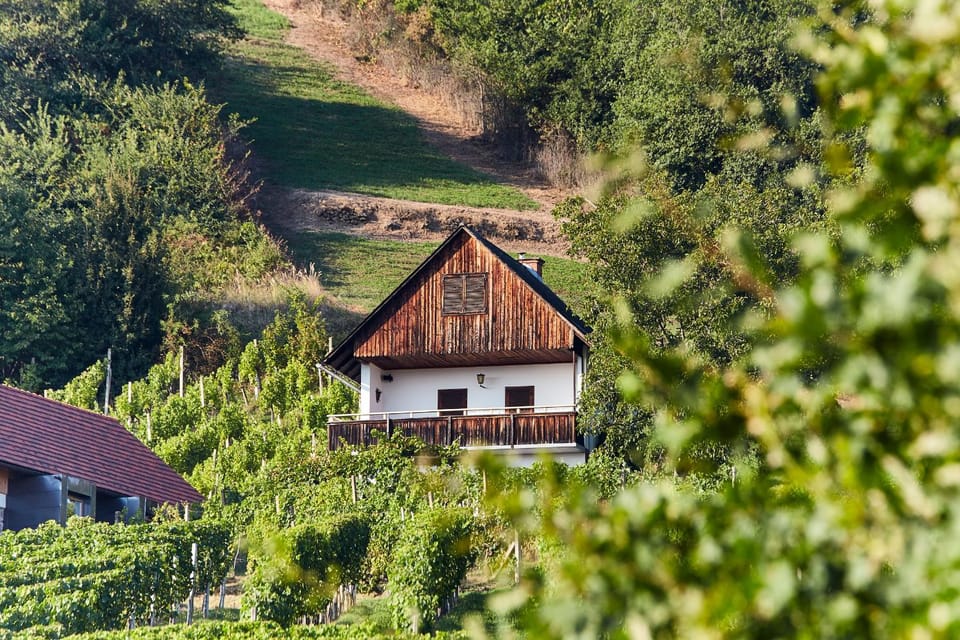 Weinberg Lodge - Kellerstöckl Nature lodge in Styria
