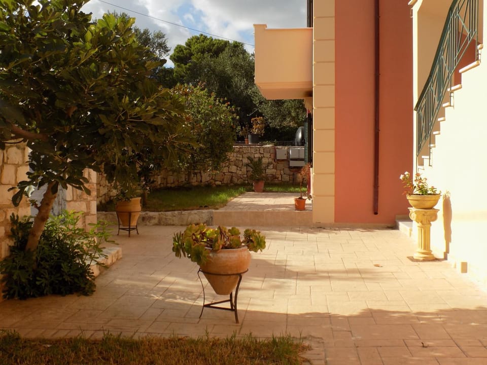 Property building, Day, Garden