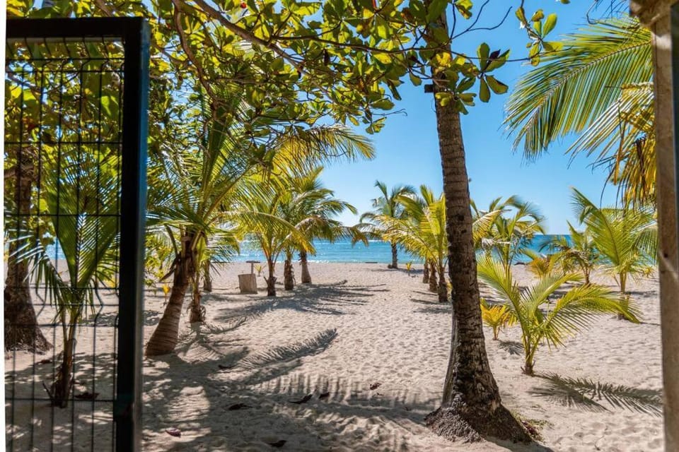 Beach, Sea view