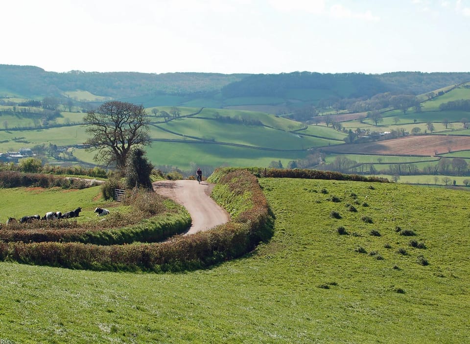 Nearby landmark, Natural landscape