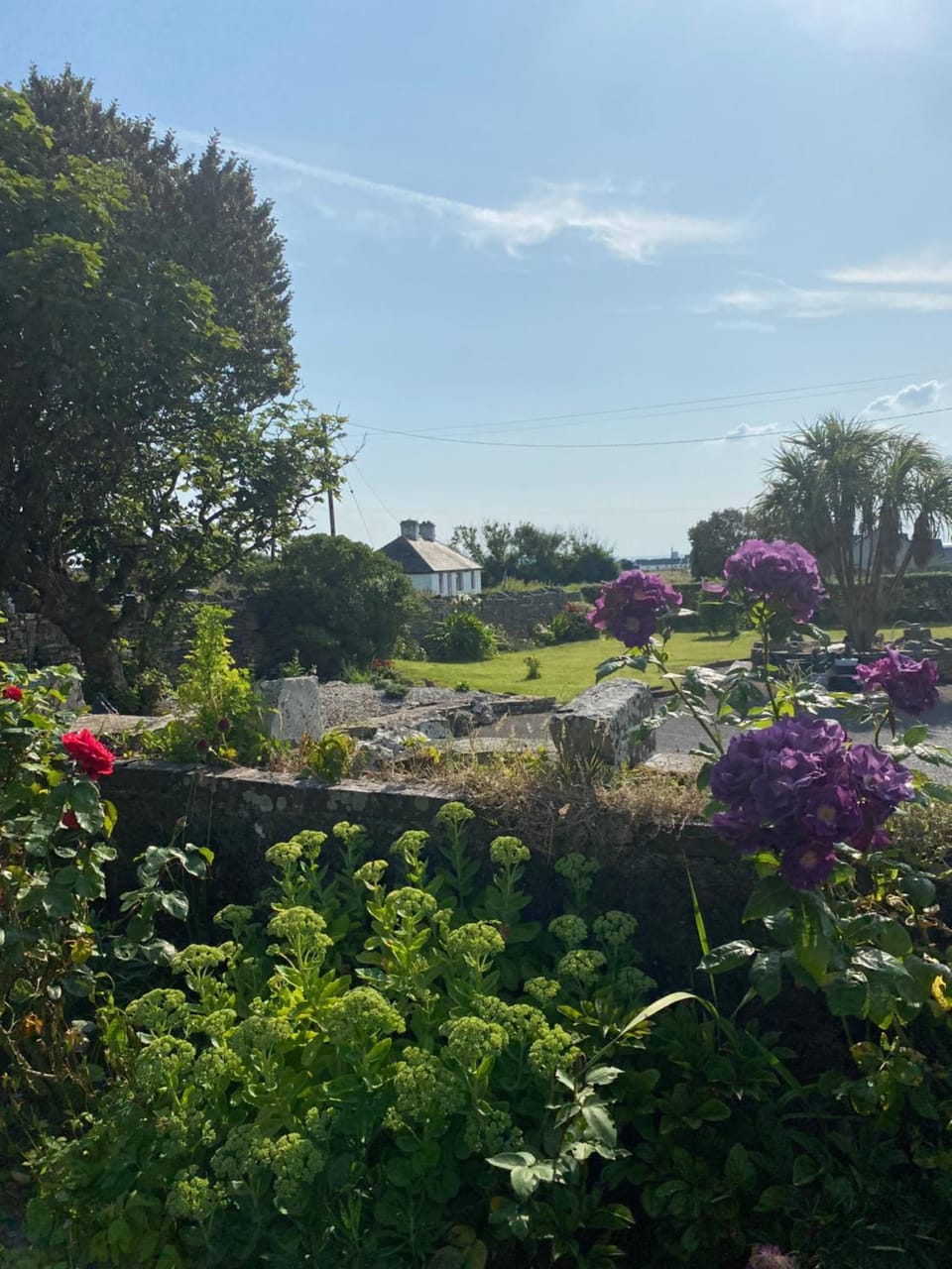 Clonmore Lodge B&B Bed and Breakfast in County Clare