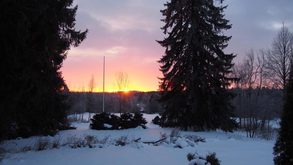 Garden view