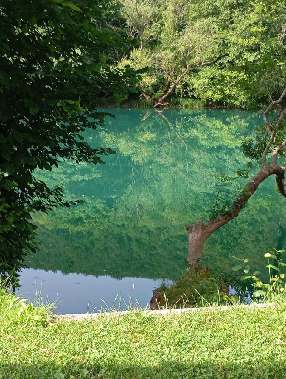 Nearby landmark, Spring, Day, Natural landscape, River view