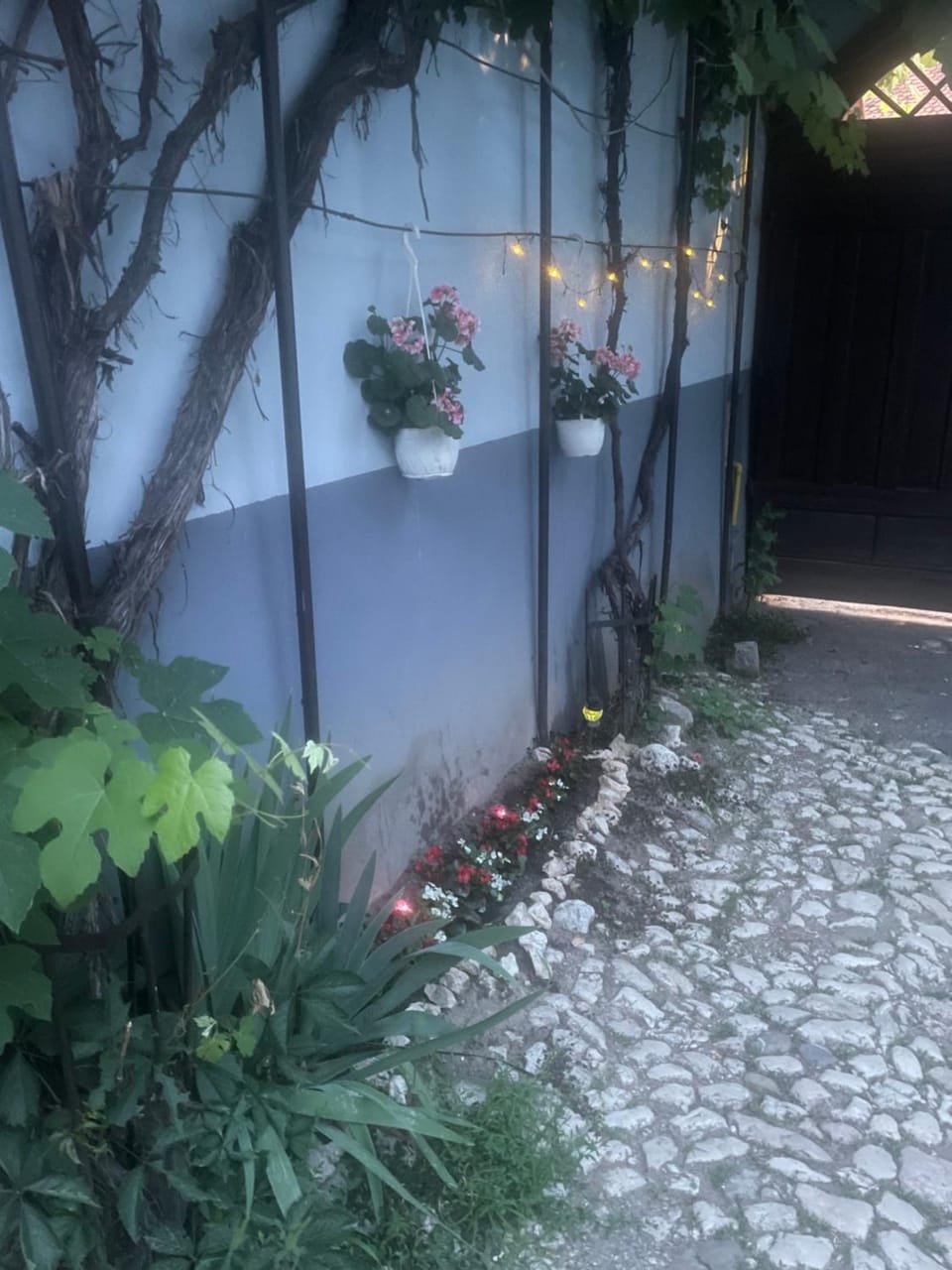 Blue House Bed and Breakfast in Brasov