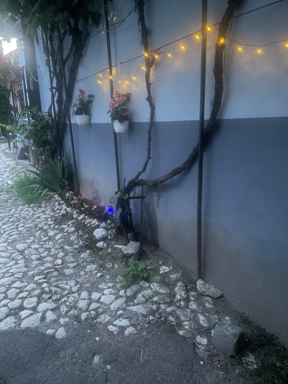 Blue House Bed and Breakfast in Brasov