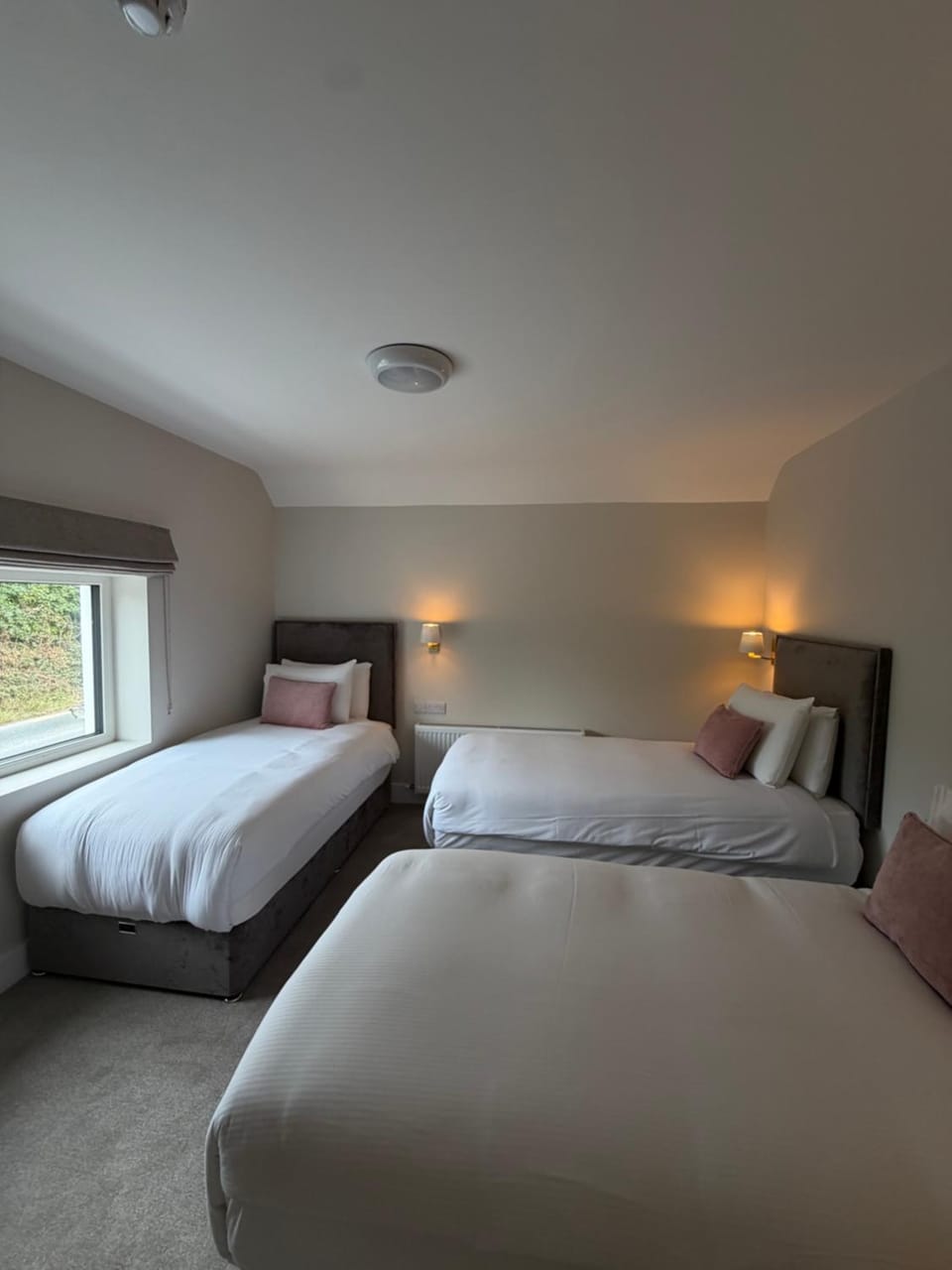 The Grove Lodge Guesthouse Bed and Breakfast in County Kerry