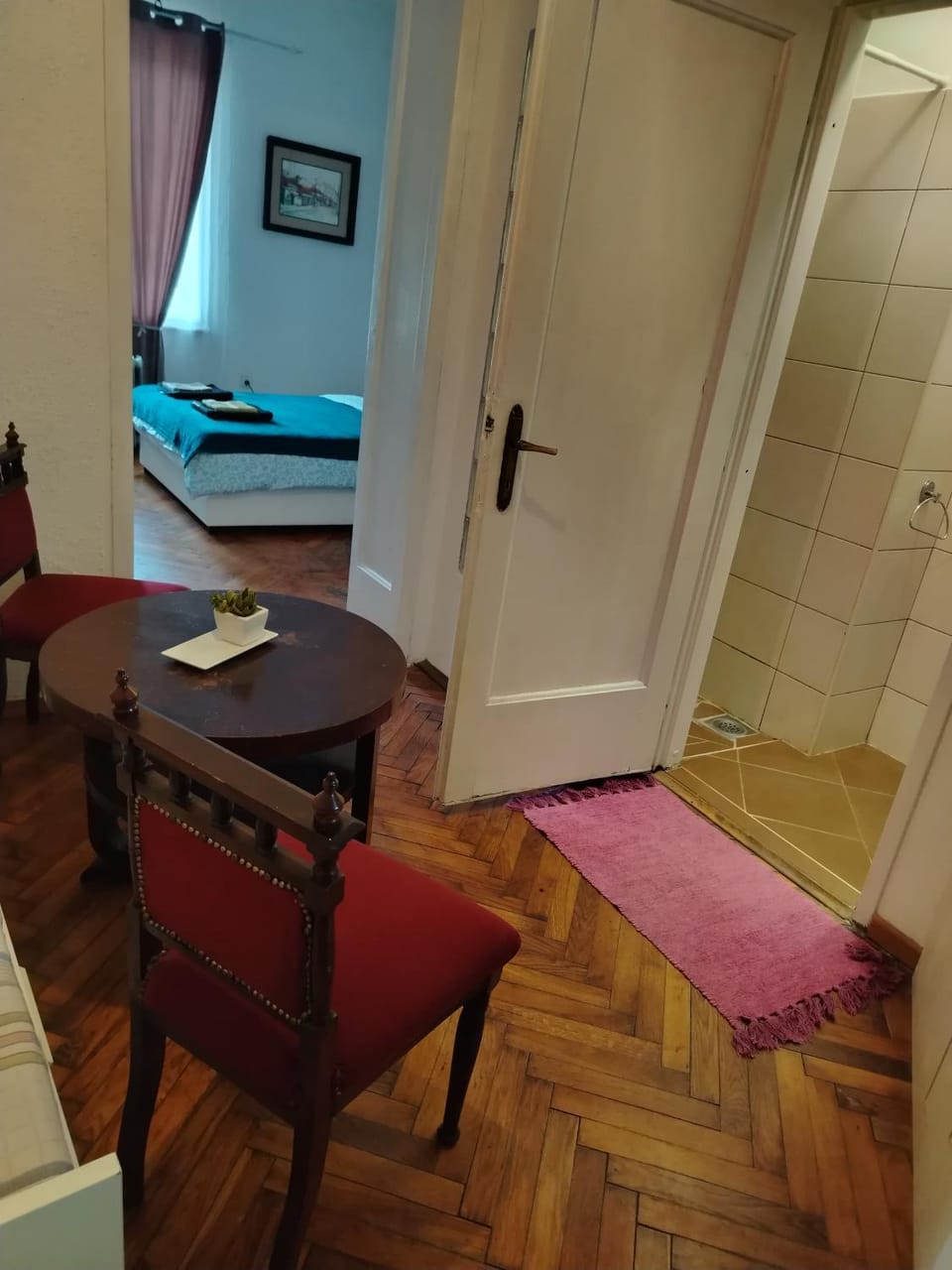Cozy Downtown Apartment Apartment in Belgrade