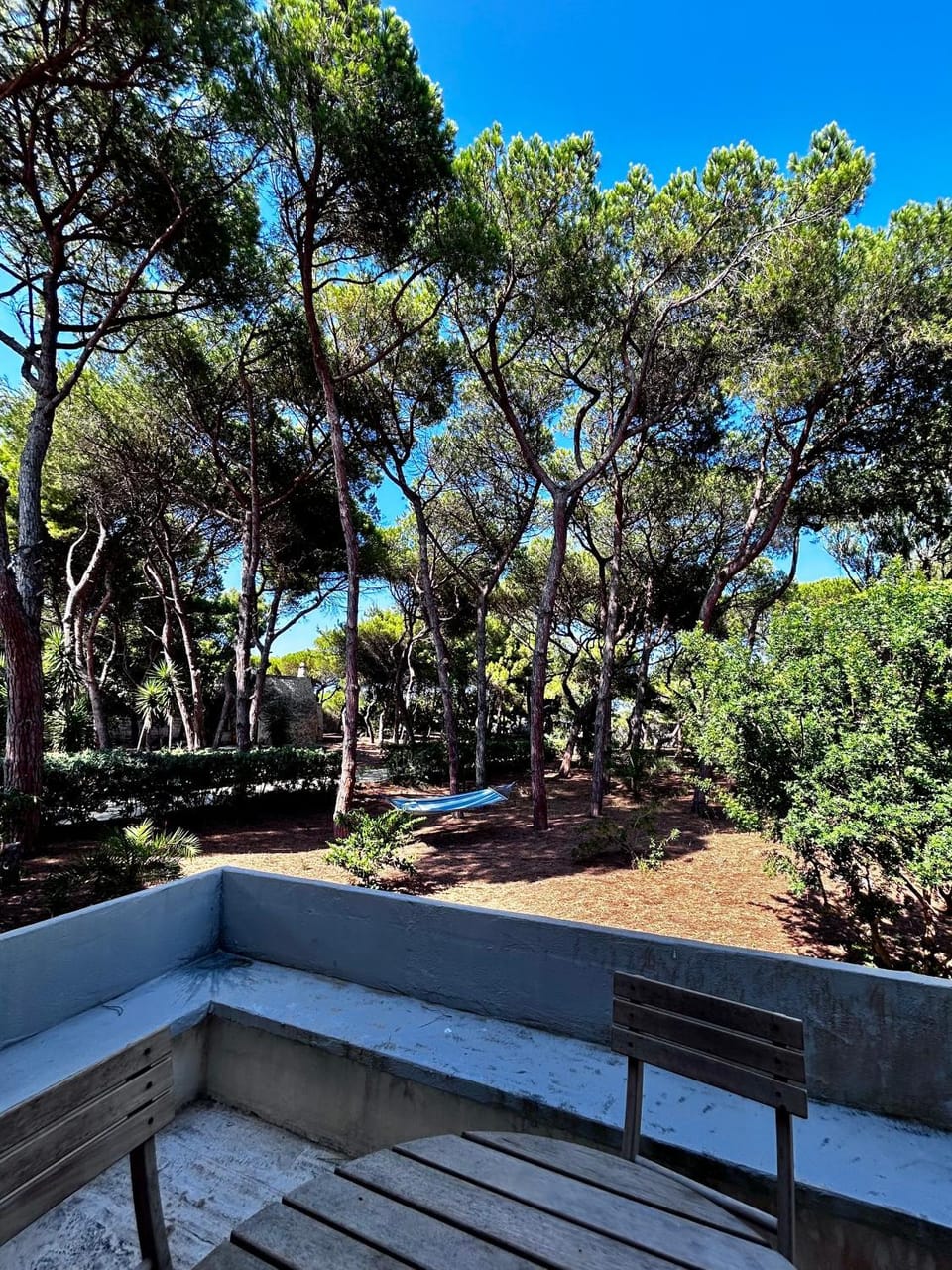 Natural landscape, Garden, Garden view