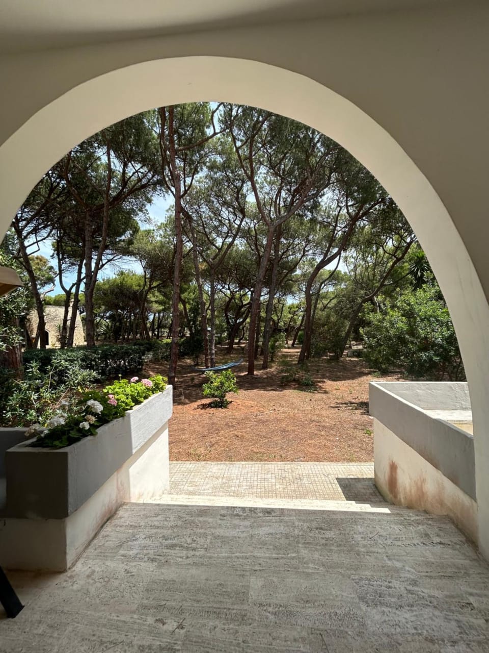 Patio, Garden, Garden view