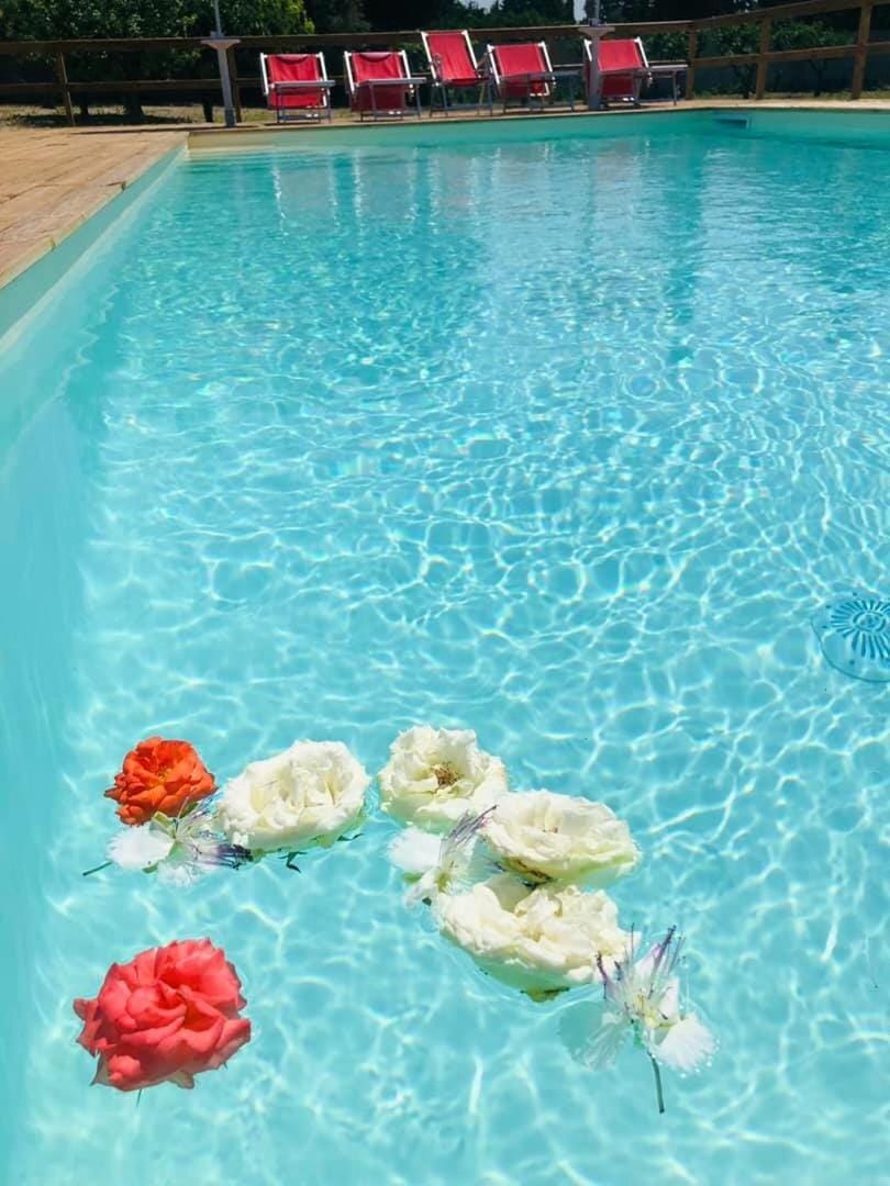 B&B Villa Jonica Bed and Breakfast in Apulia