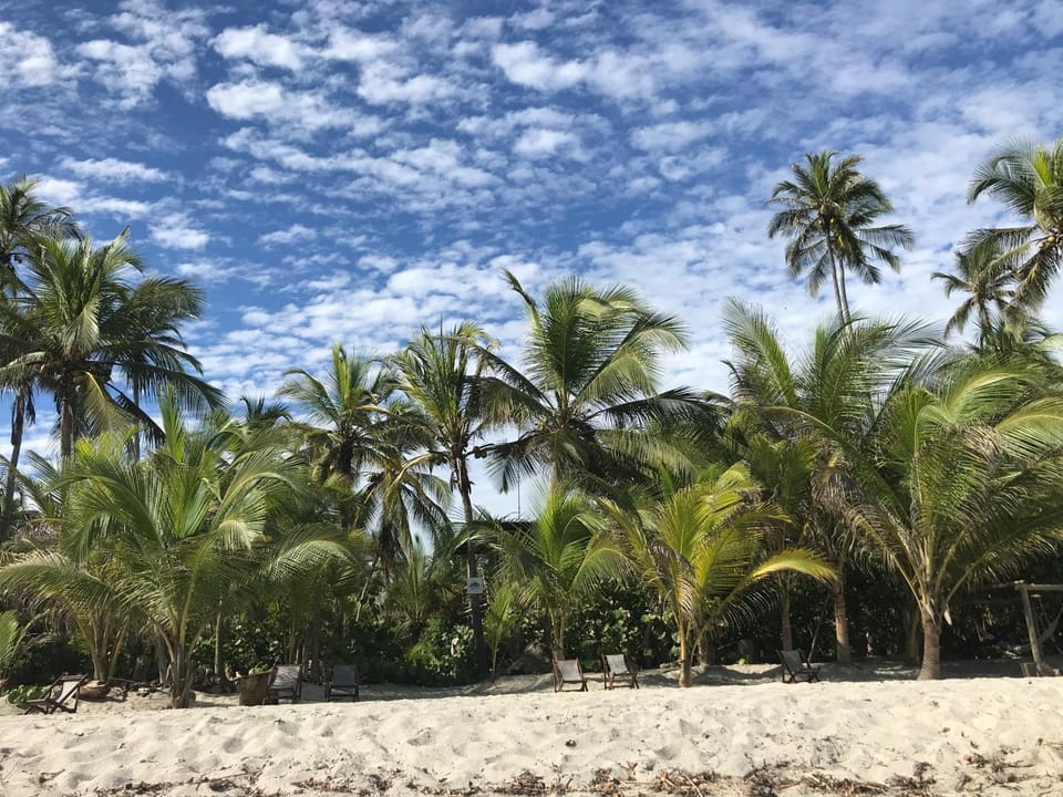 Natural landscape, Beach, Sea view