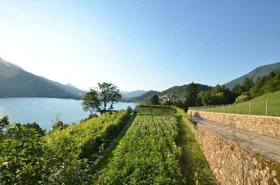 Neighbourhood, Natural landscape, Lake view