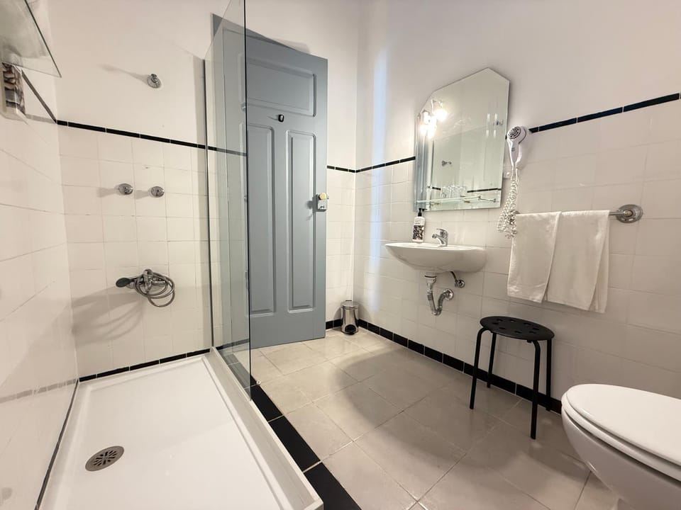 Shower, Toilet, Bathroom, Bath, towels