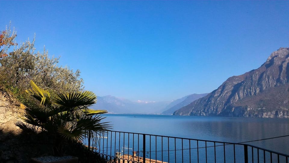 Lake view