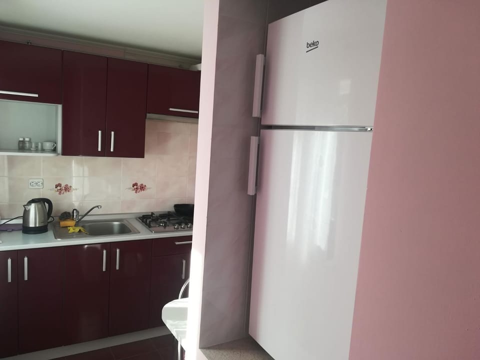 Coffee/tea facilities, Kitchen or kitchenette, stove