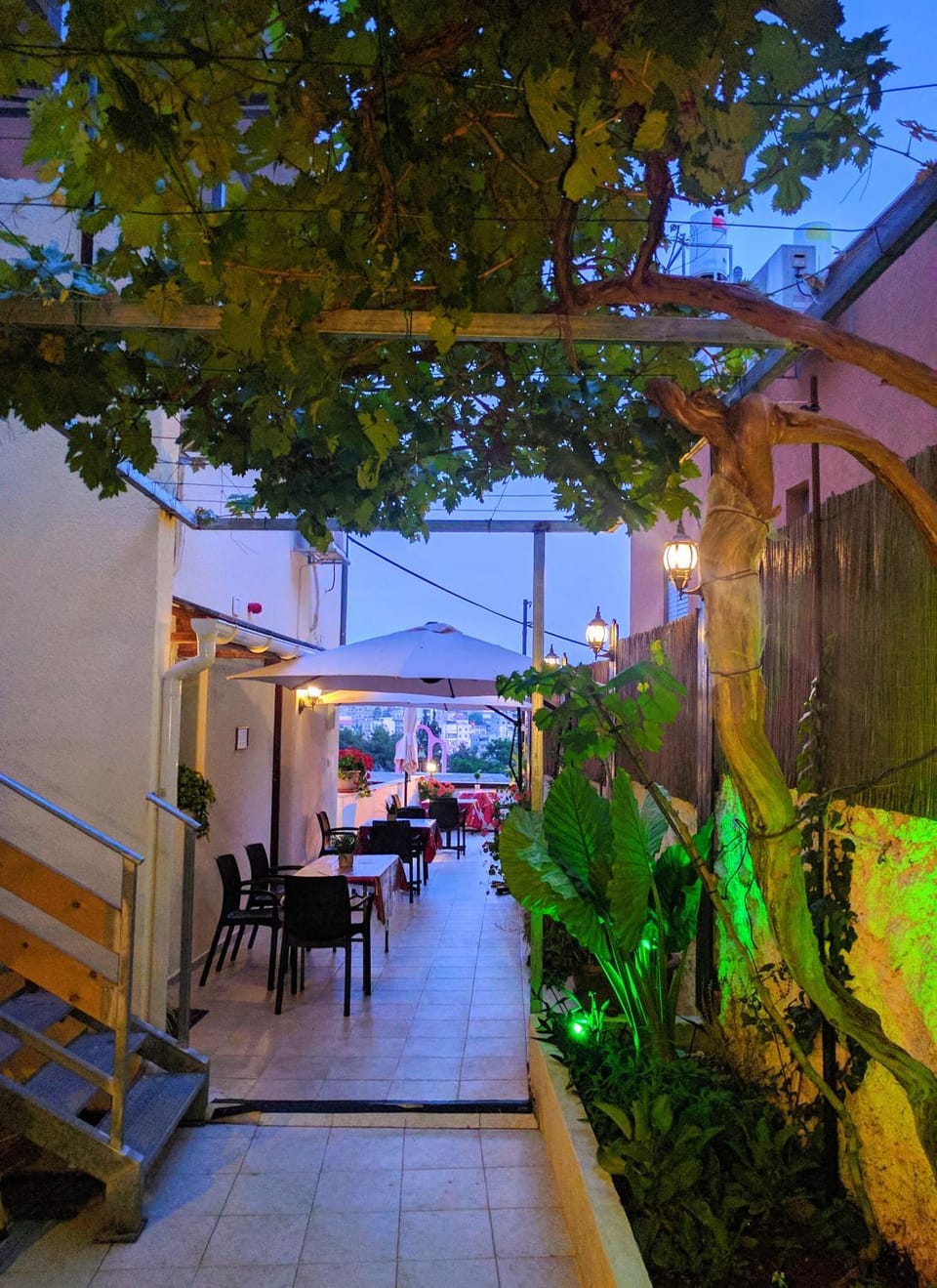 Garden