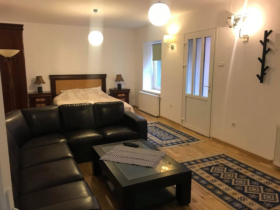 Da Vinci Bed and Breakfast in Brasov